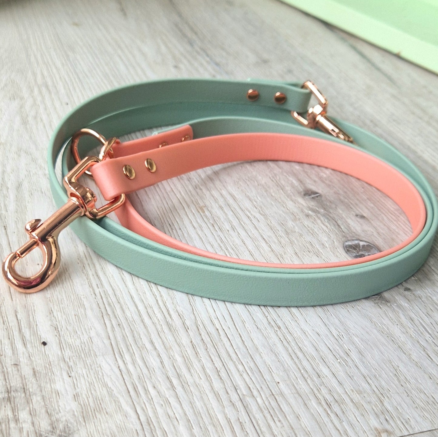 13mm Biothane Leine *Mint & Rosé*