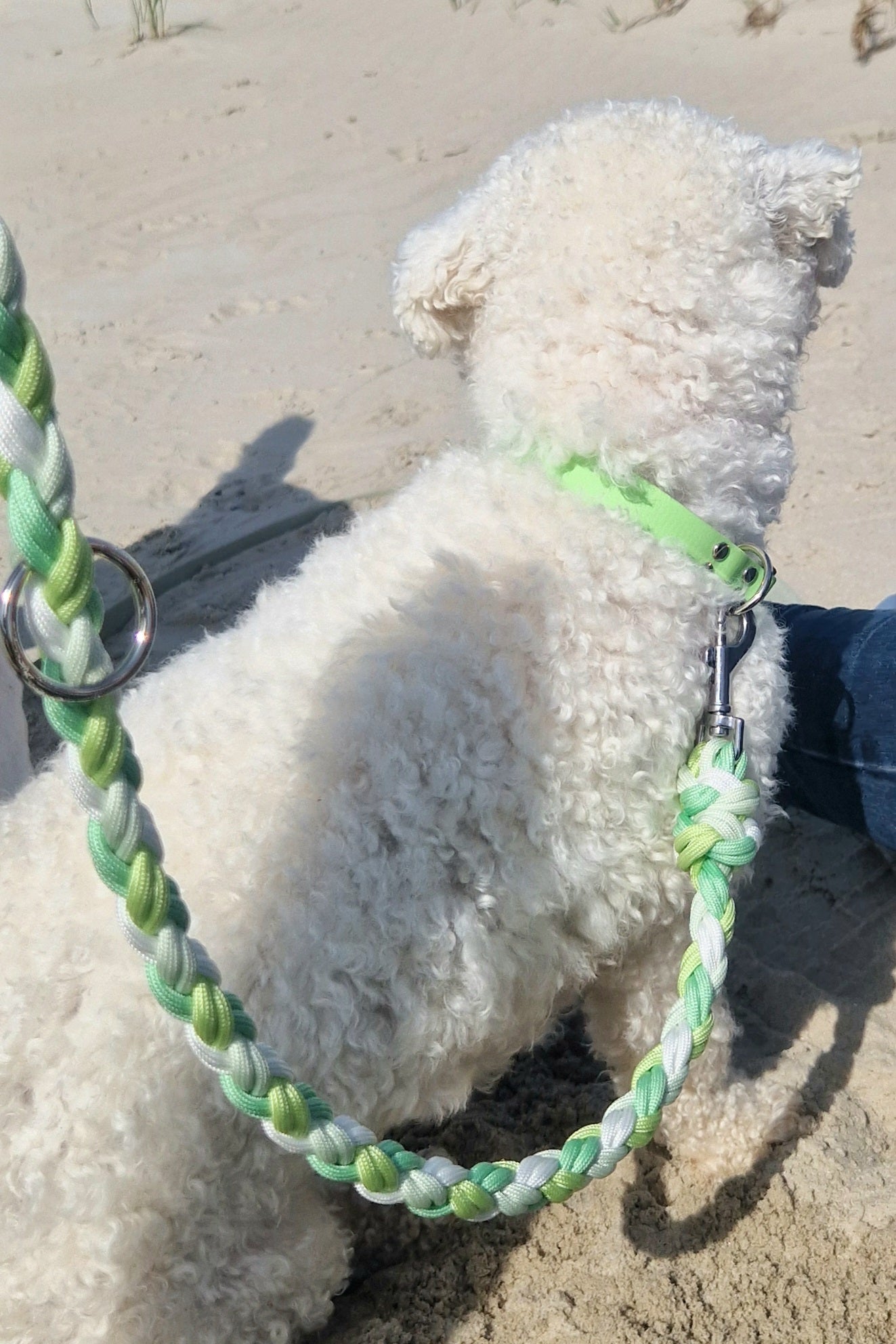 Hand-woven paracord leash *Pastel green*