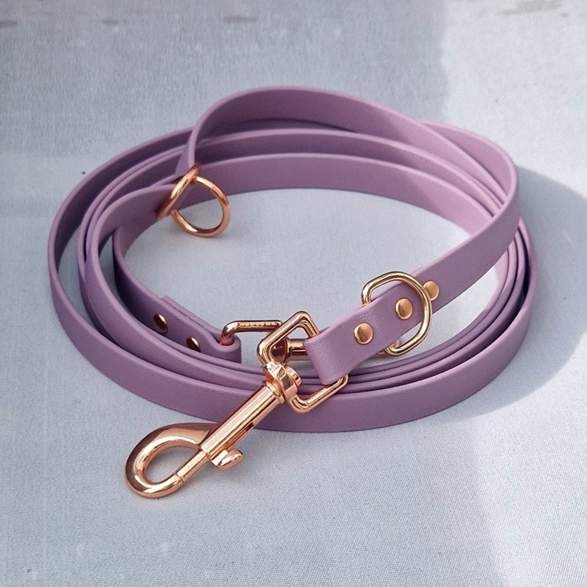 Leash Biothane *Grape*