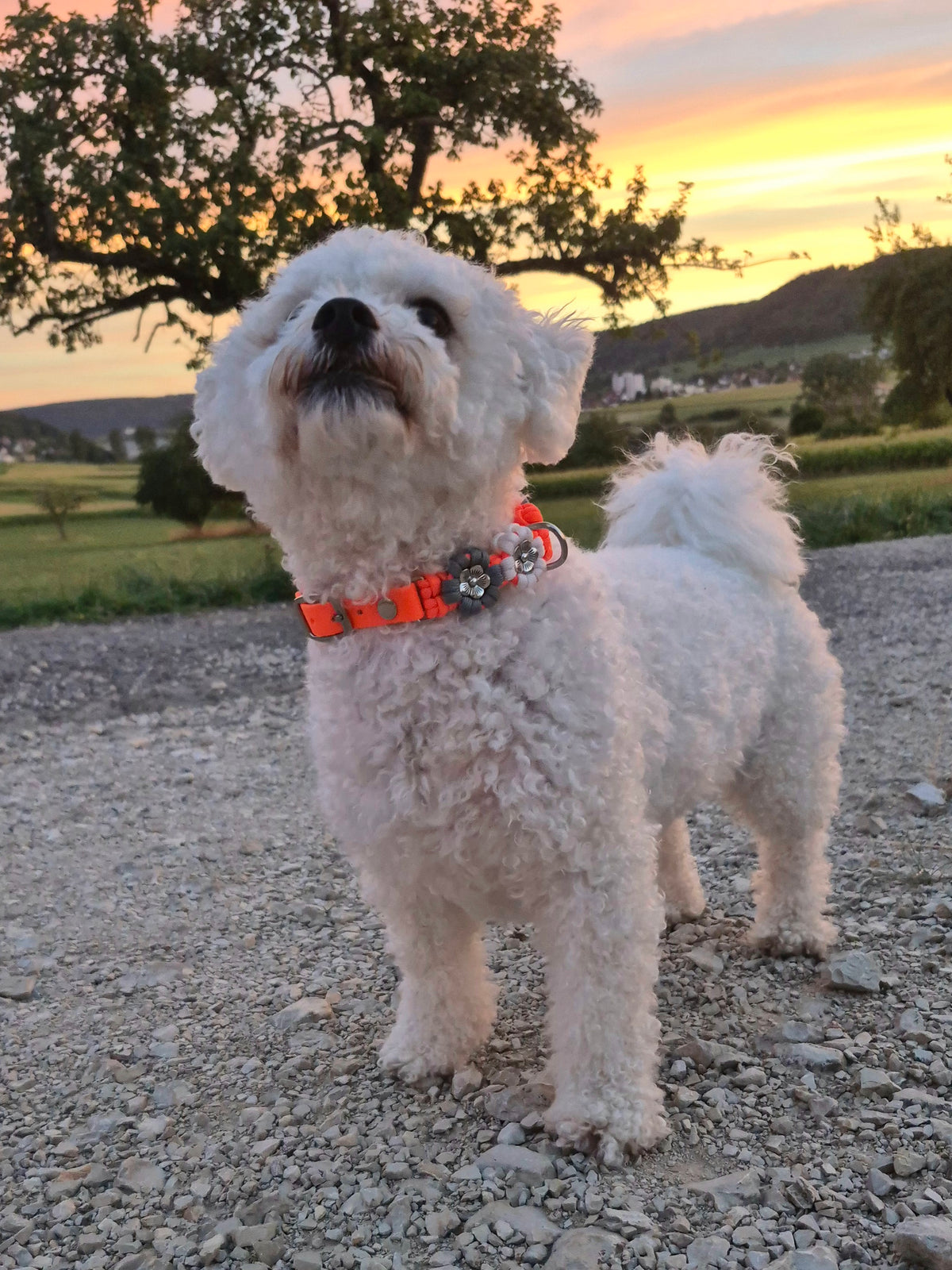 Blumen Halsband *Neon Orange & Grau & Weiß*
