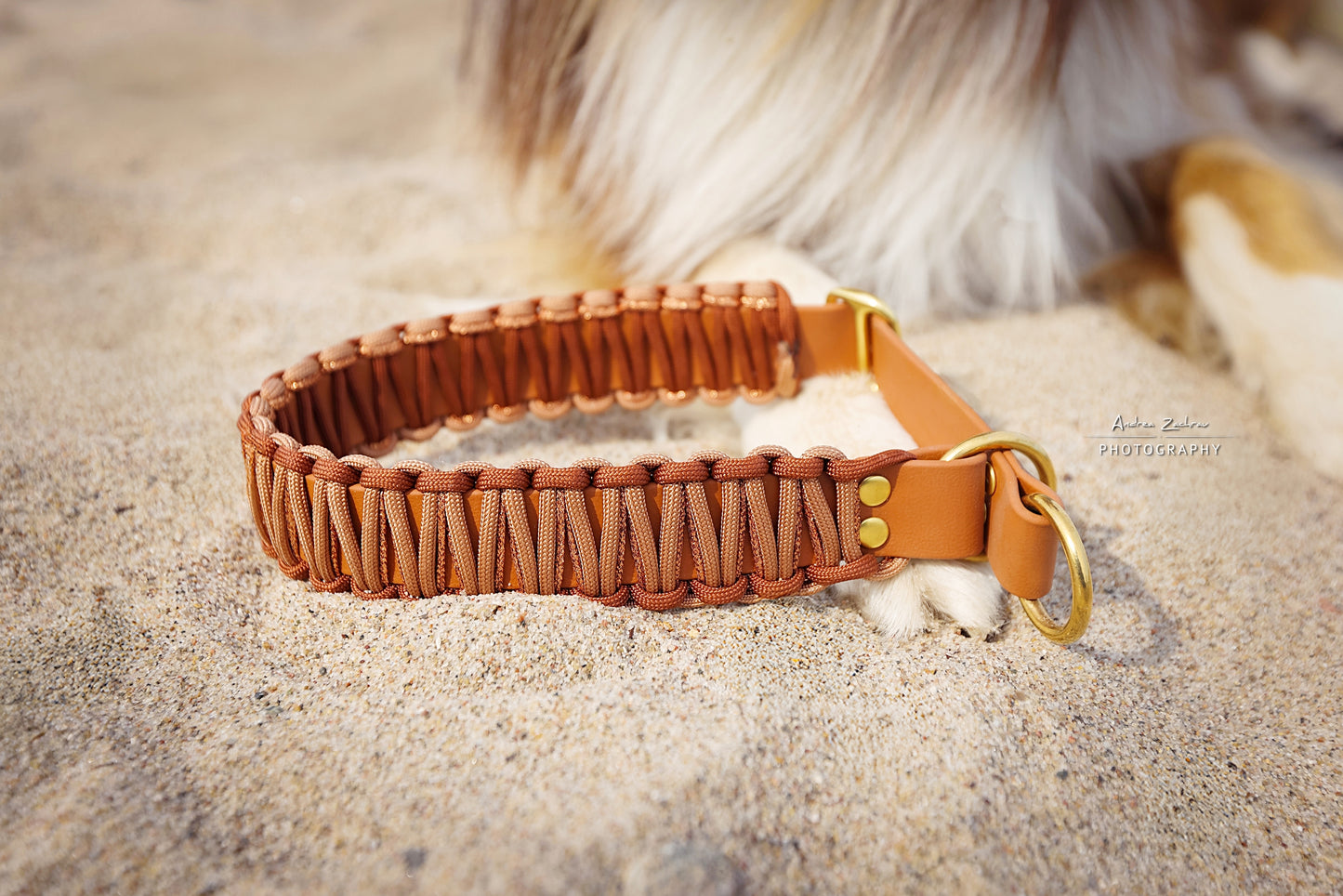 Erstelle dein eigenes Unikat - Zugstopp Glitzer Halsband Biothane & Paracord