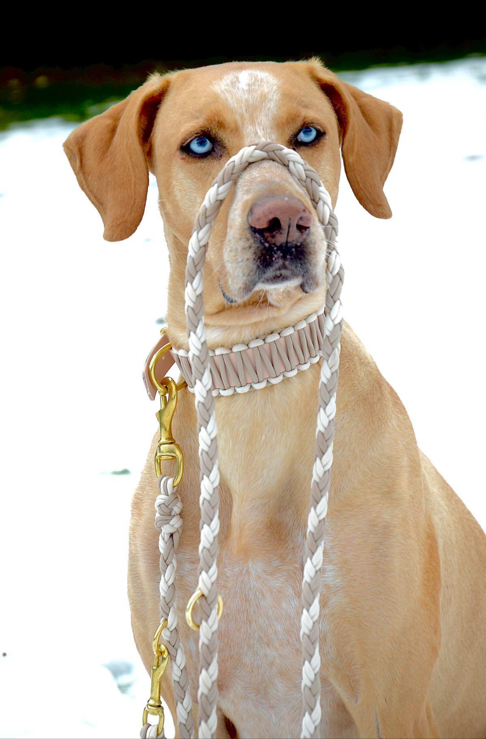 Hand-braided Paracord Leash *Mocca-Cream*