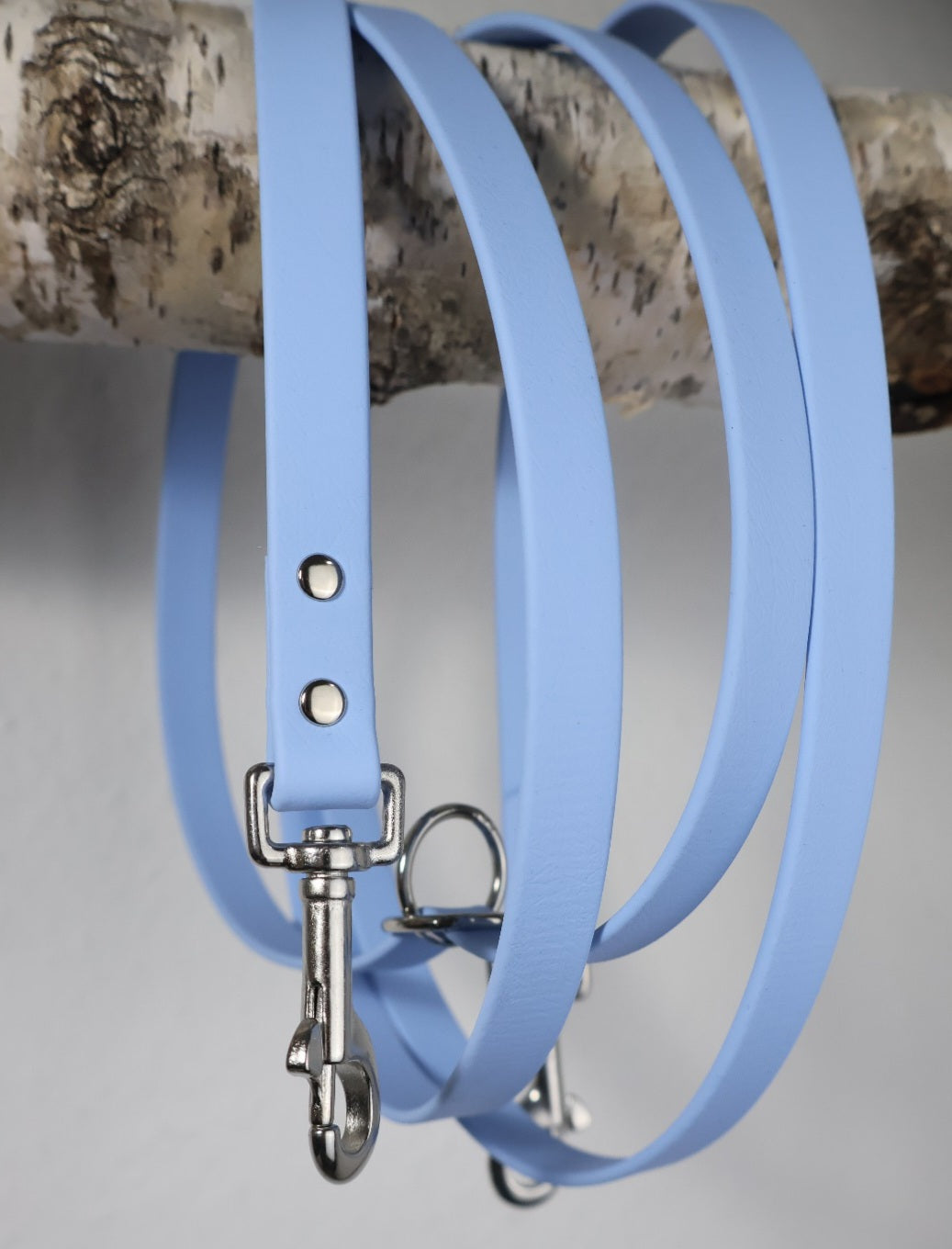 Leash Biothane *Polar Blue*