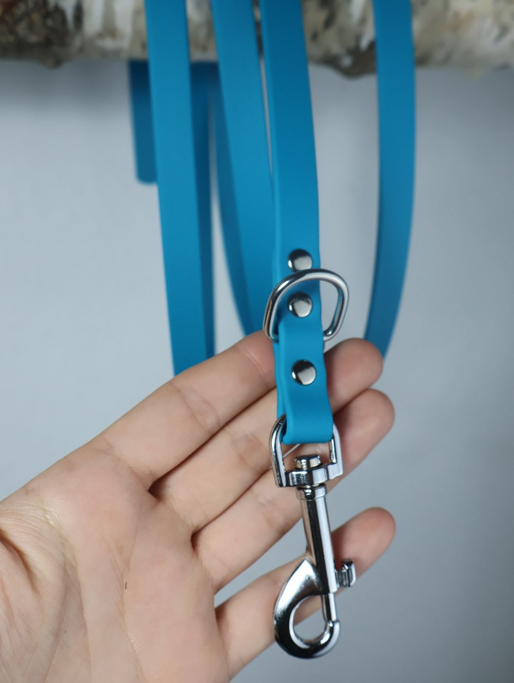 Leash Biothane *Petrol*