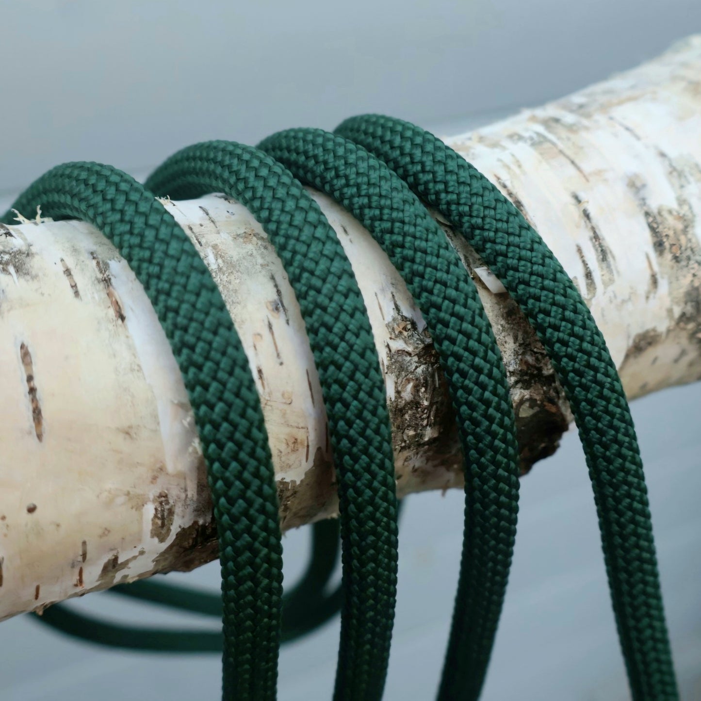 rope 8-10mm *dark green*
