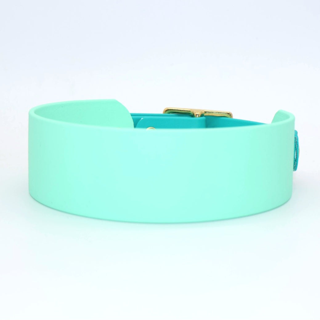 37-43cm & 3,8cm breites Halsband Biothane *Türkis*