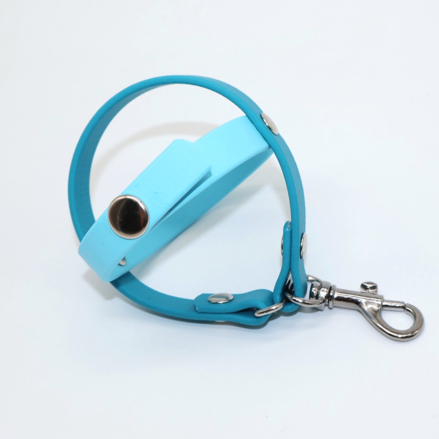 Ballhalter Biothane mit Knopf *Türkis & Petrol*