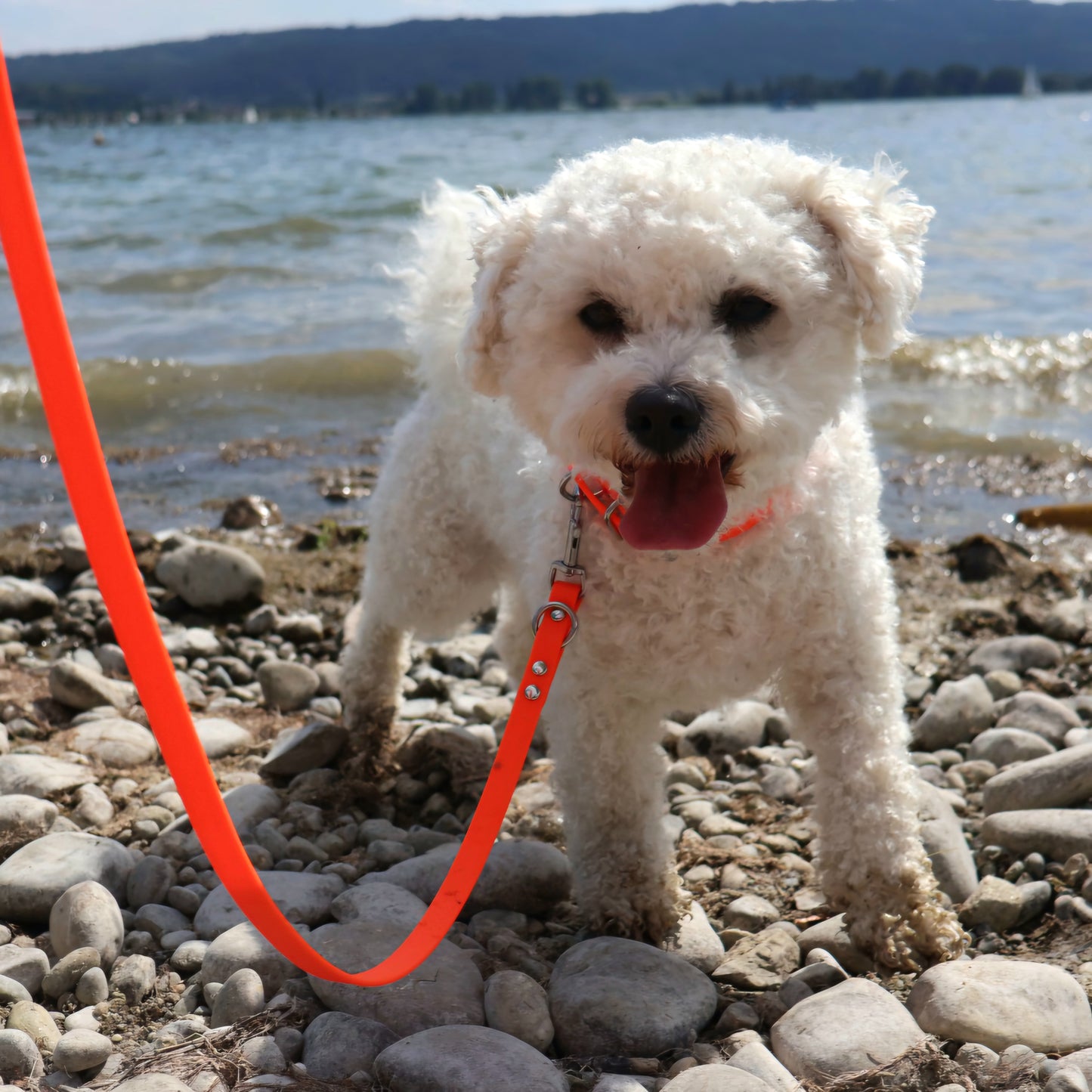 13mm Biothane Leine *Neon Orange*