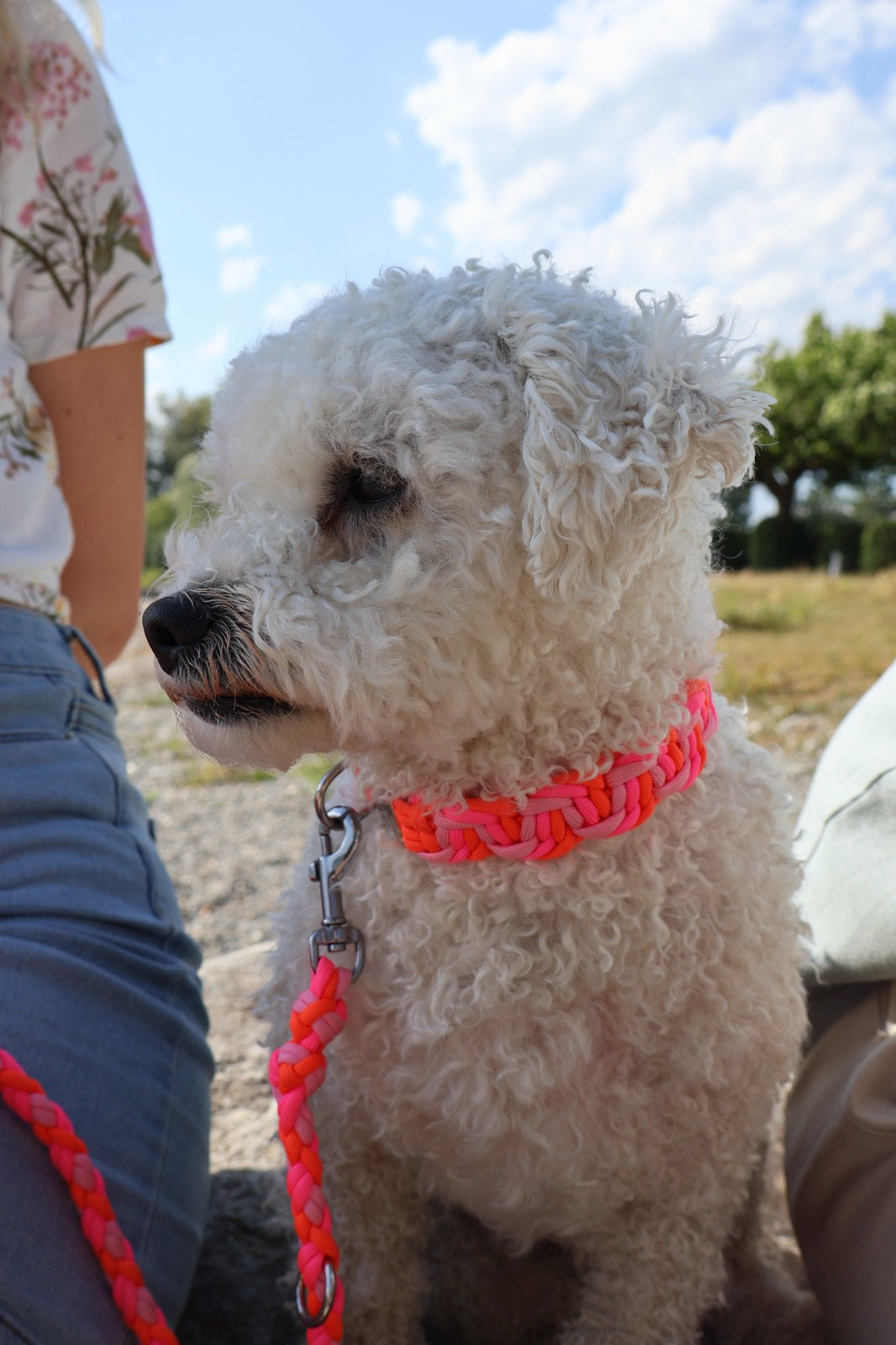 Handgeflochtene Paracord Leine *Neon Pink & Neon Orange & Rose Rosa*