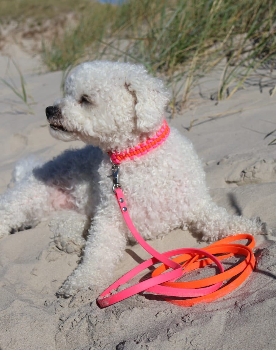 Mini Halsband *Neon Orange & Neon Pink*