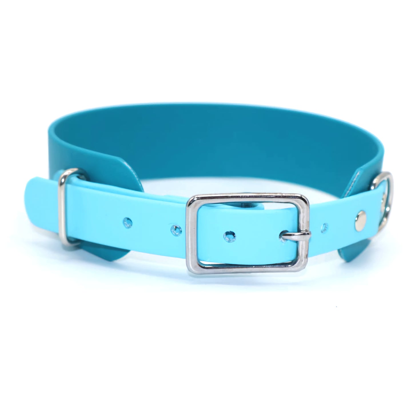 Halsband Biothane *Petrol & Cyan*