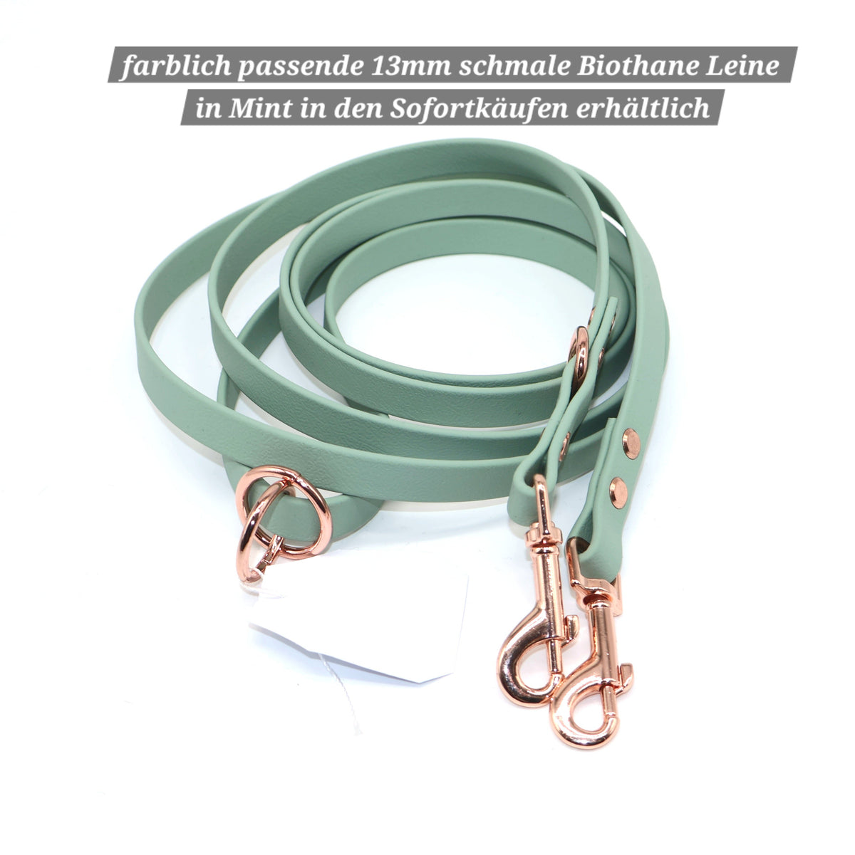 Halsband Biothane & Paracord *Mint Rosé* 27-38cm