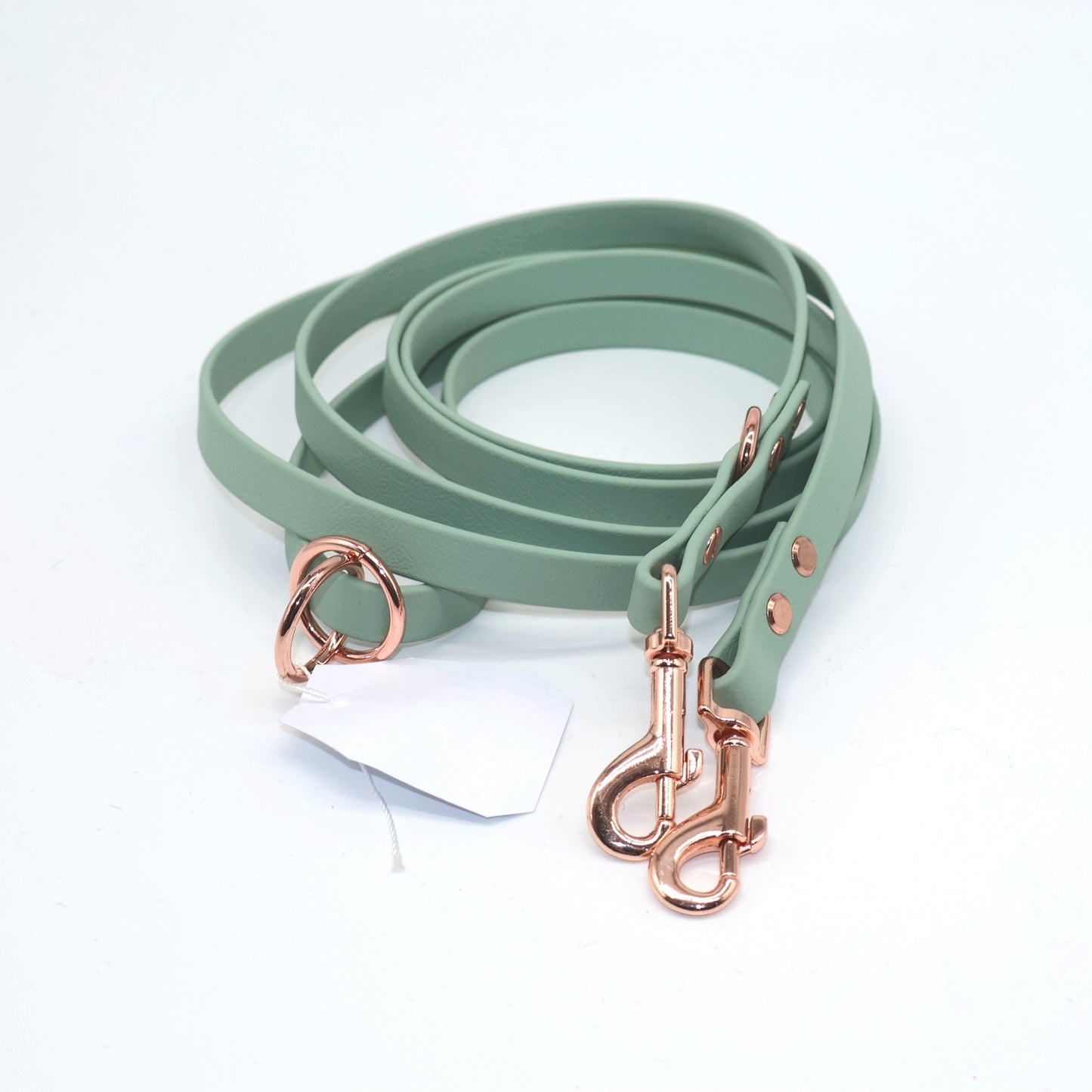 2,2m & 13mm Biothane Leine *Mint*