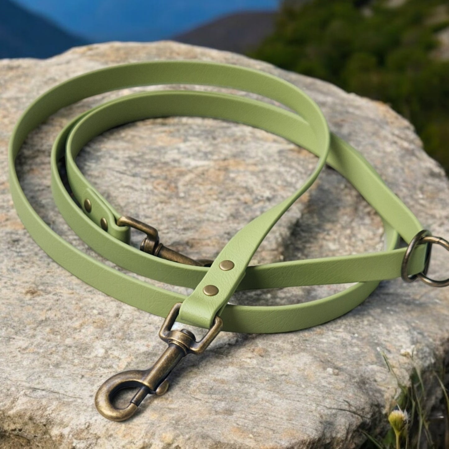 Leash Biothane *Guacamole*