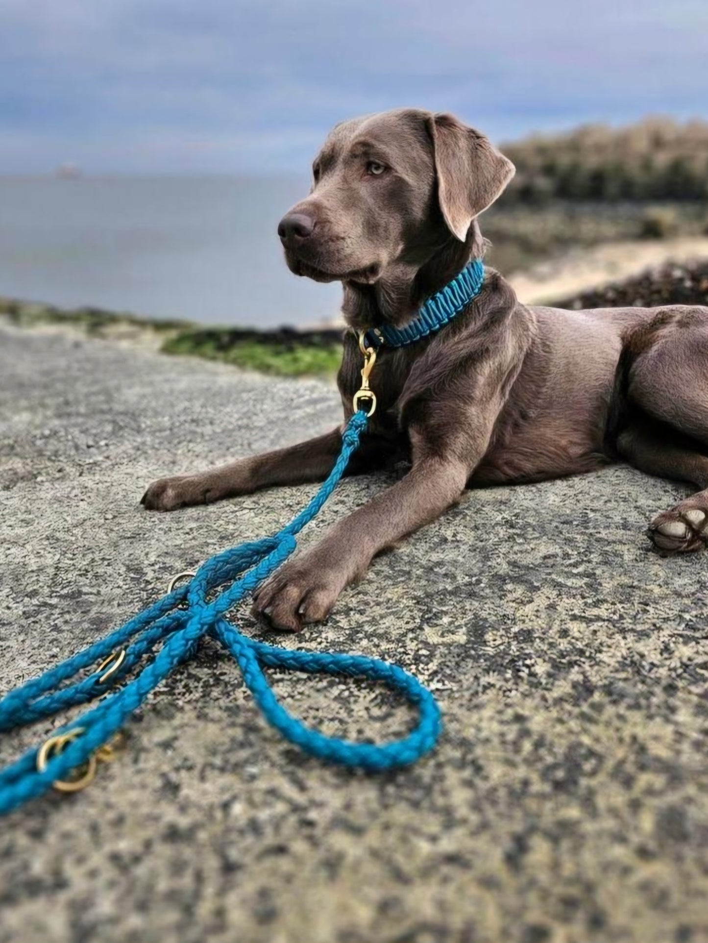 Hand-braided Paracord Leash *Petrol*