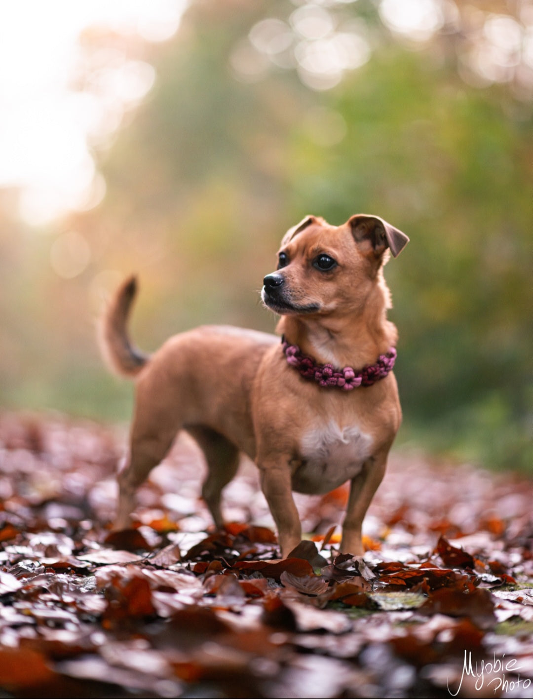 Mini Flower Necklace *Burgundy & Lavender Pink*