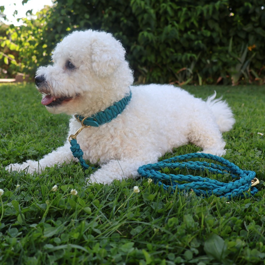 Collar Biothane & Paracord *Petrol*
