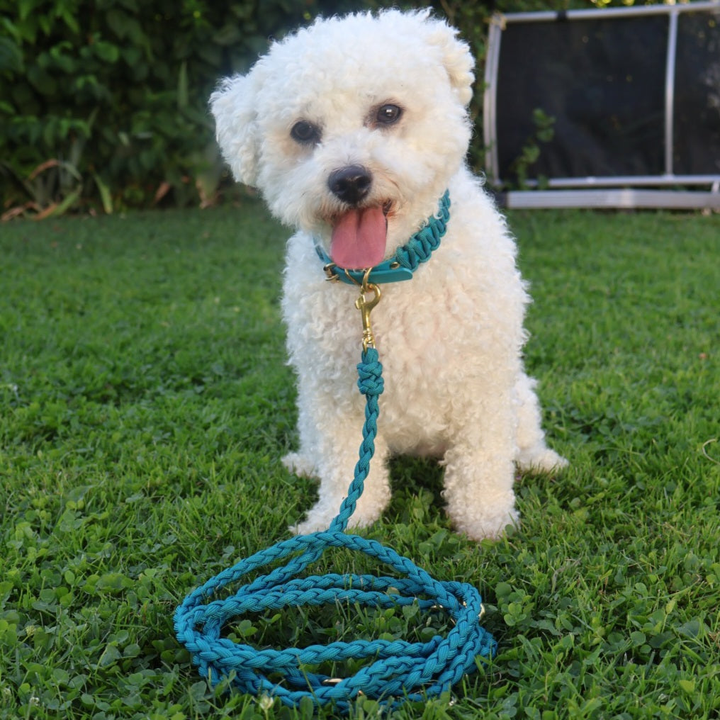 Hand-braided Paracord Leash *Petrol*