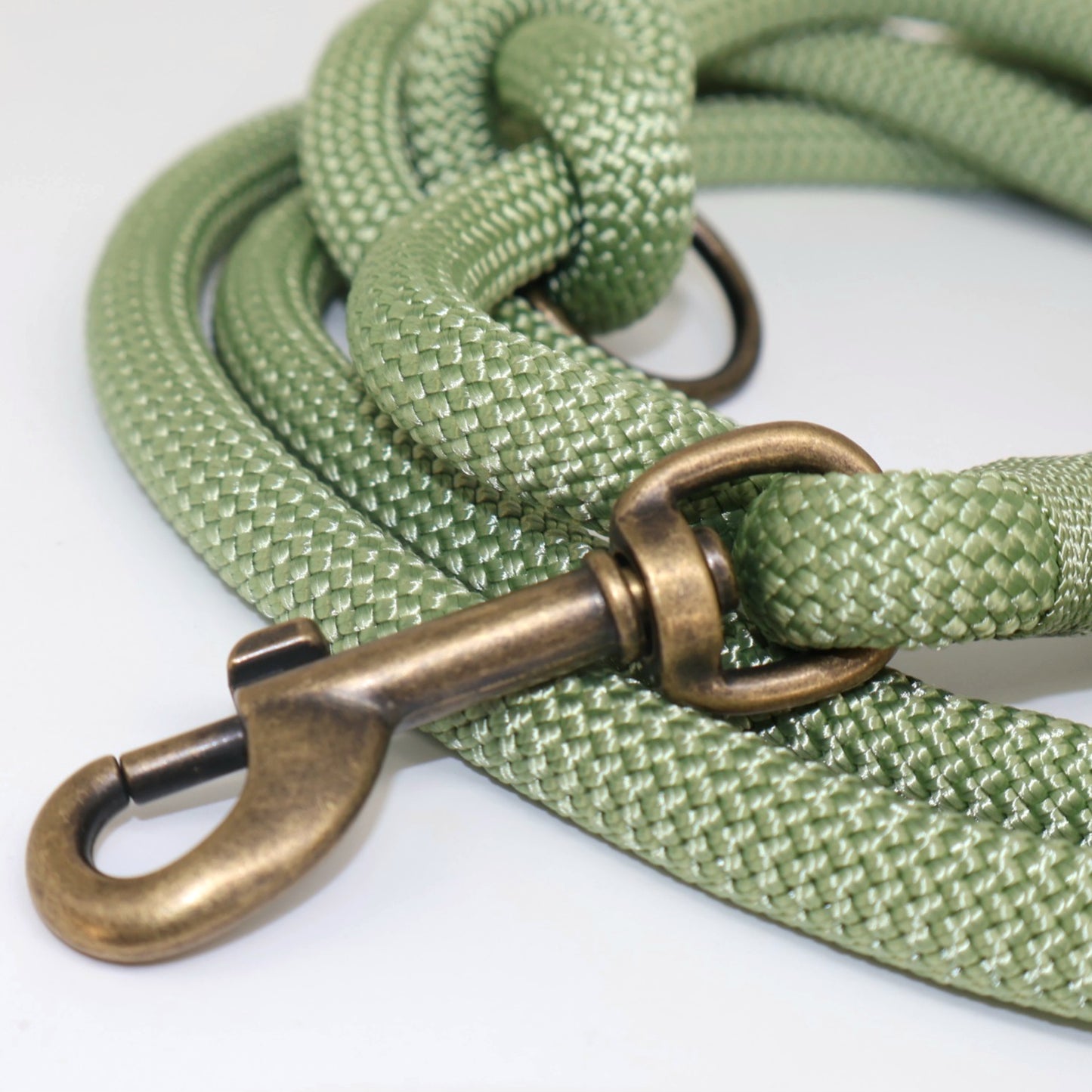 1,7m - 2,5m Tauleinen 8mm für kleine Hunde *Guacamole*