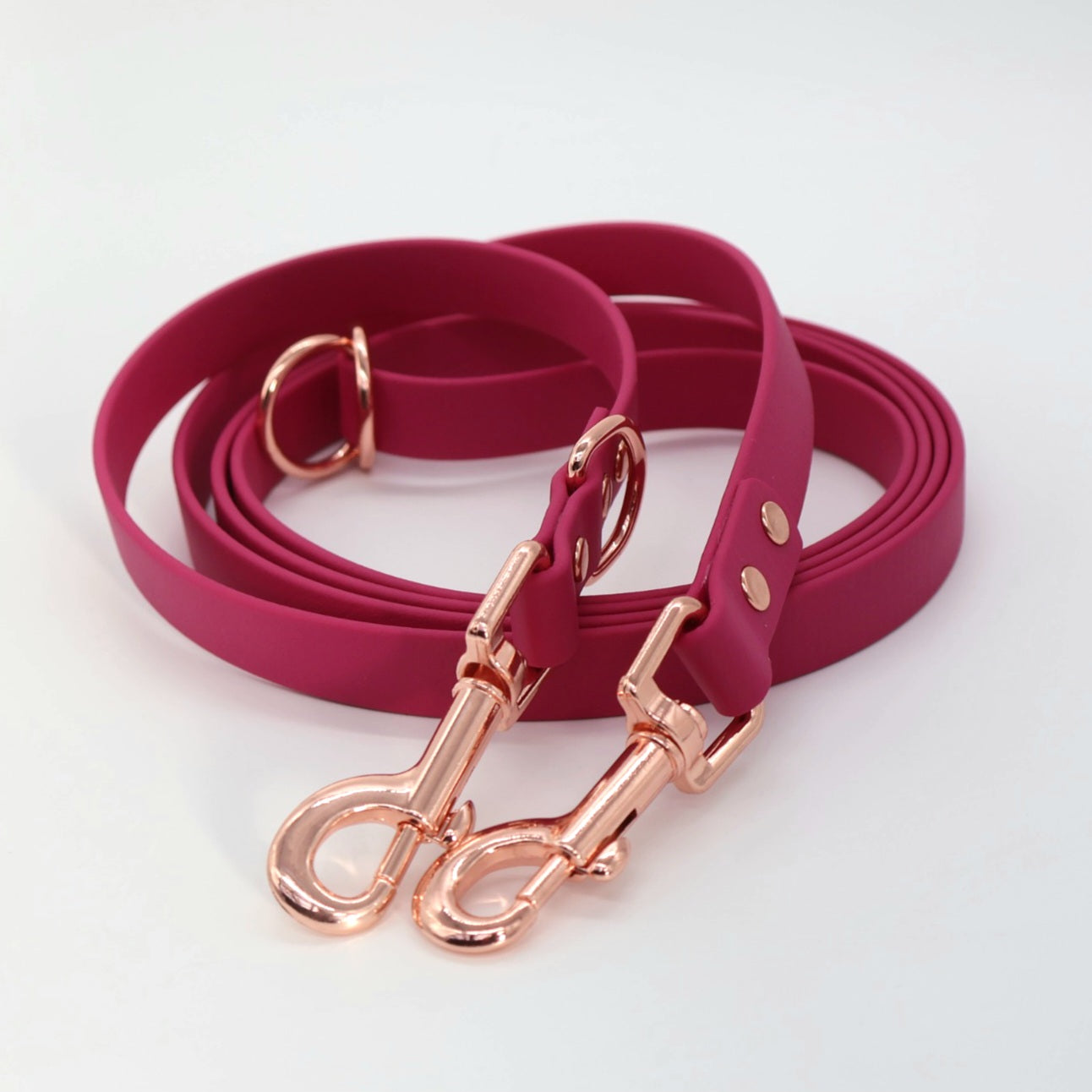 Leash Biothane *Berry*
