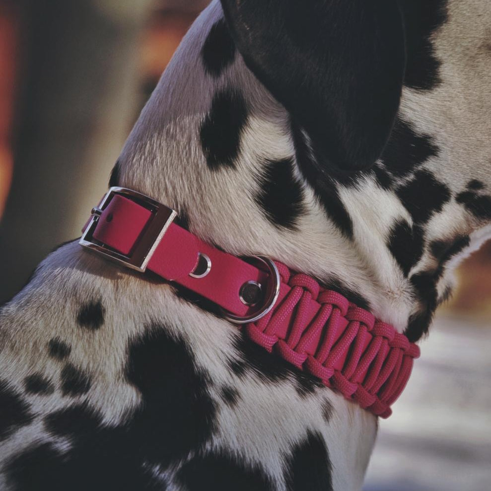 Halsband Biothane & Paracord *Rosebay*