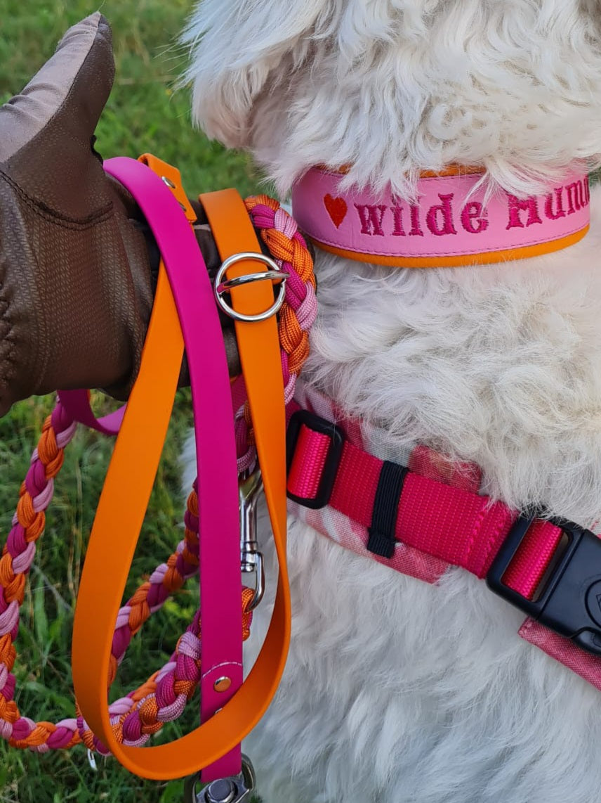 Design your own unique Paracord & Biothane leash