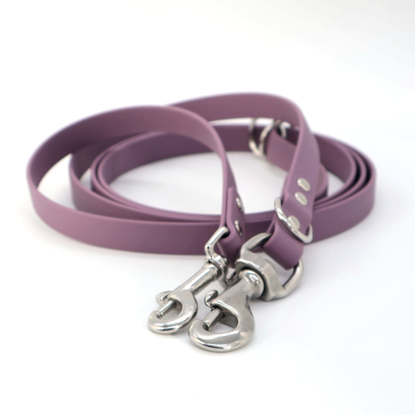 Leash Biothane *Grape*