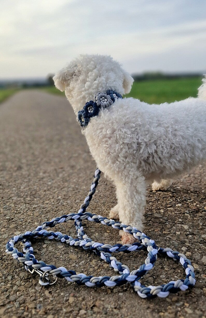 Design your own unique Paracord leash