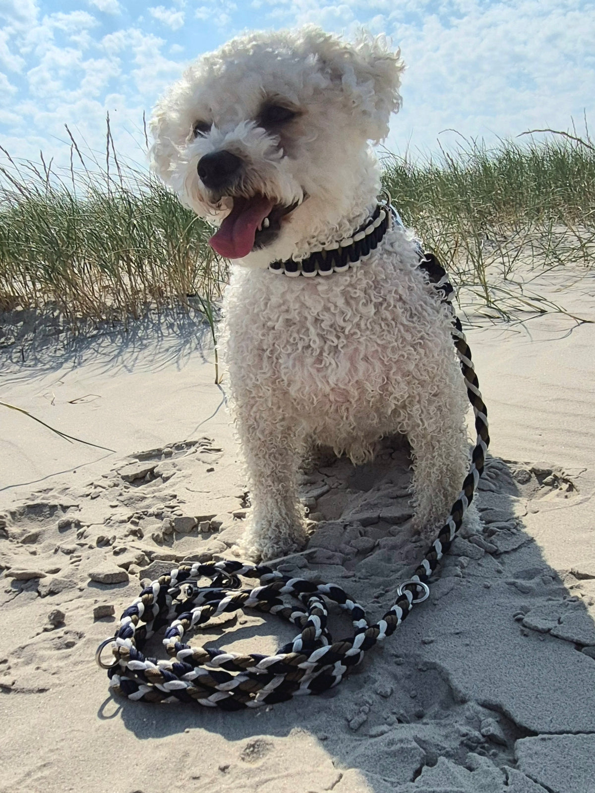 Halsband Biothane & Paracord *NordicWave*