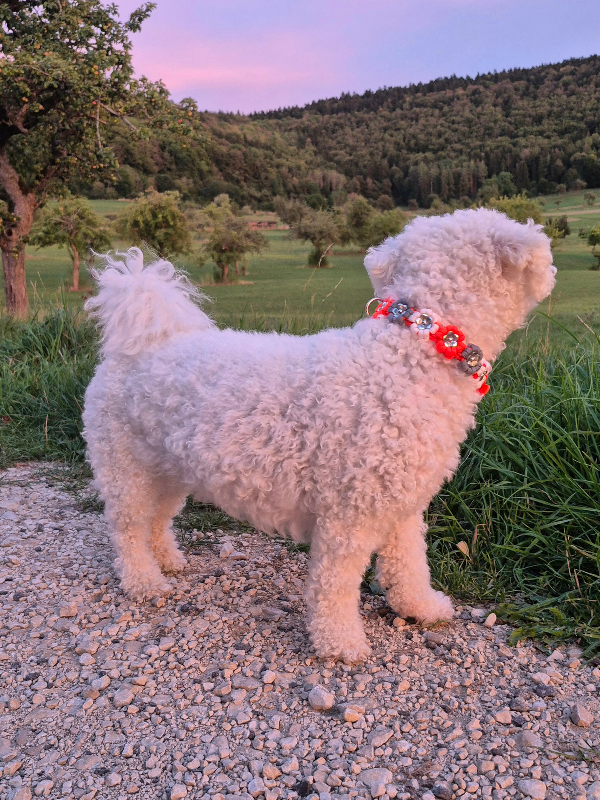 Blumen Halsband *Neon Orange & Grau & Weiß*