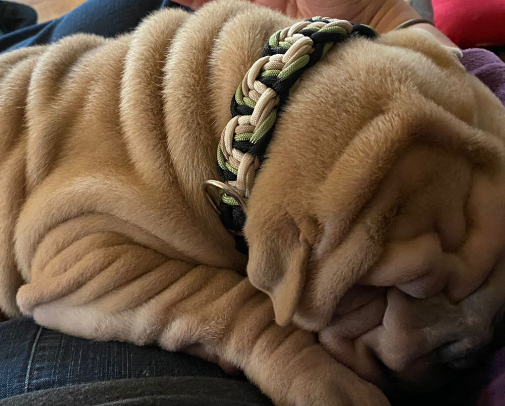Paracord Halsband geflochten *Guacamole*
