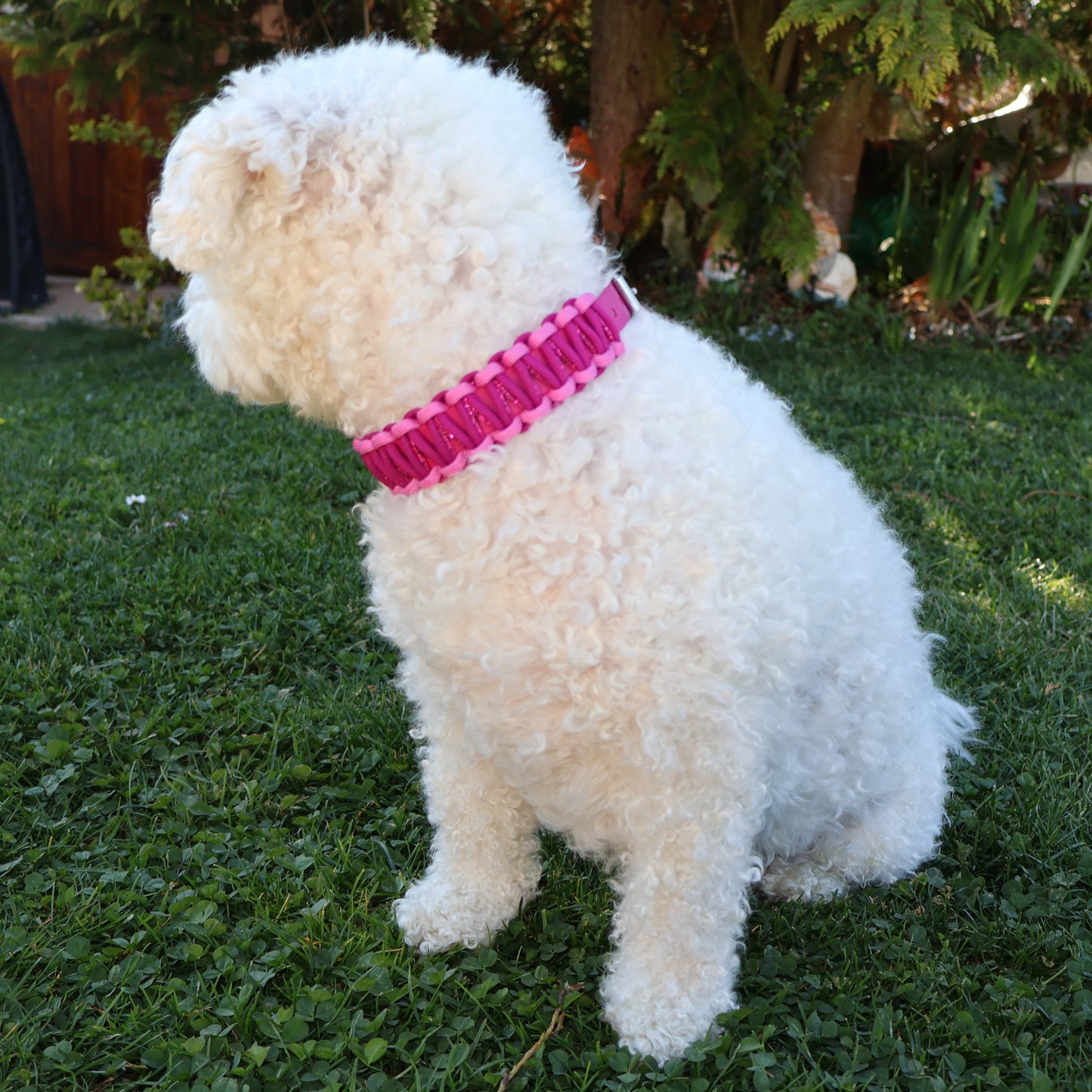 Halsband Biothane & Paracord *Beere Glitzer*