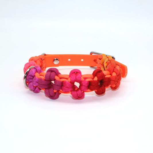 Mini Blumen Paracord Halsband *Neon Orange & bunt* 24-28cm