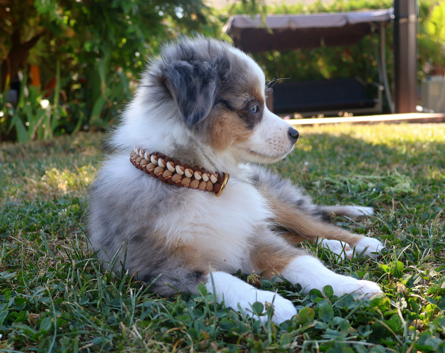 Paracord Halsband geflochten *Braun-Cappuccino*