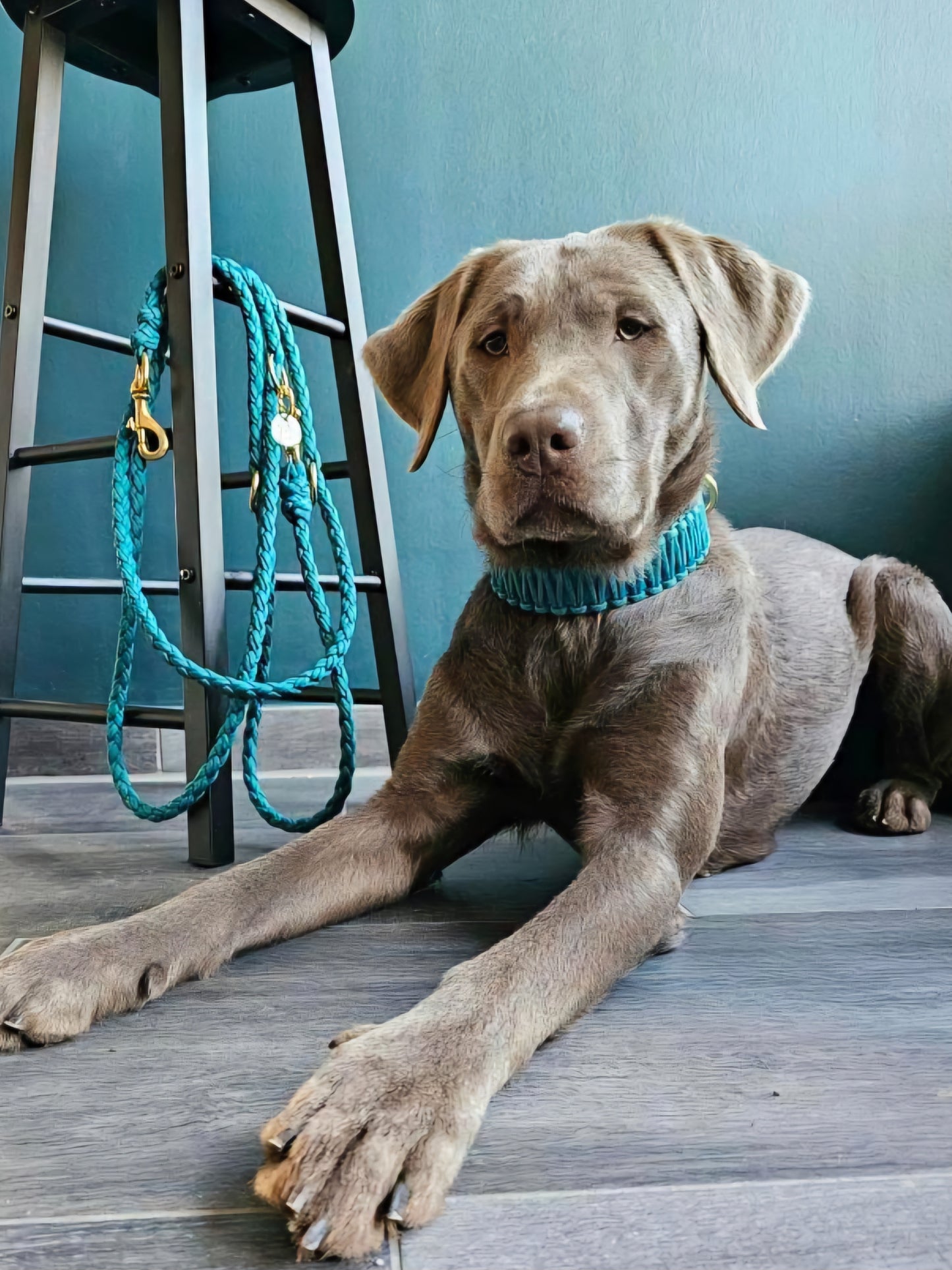 Handgeflochtene Paracord Leine *Petrol*