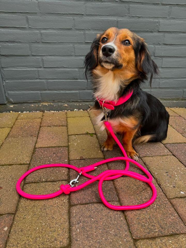 Tauleine PPM 8-10mm *Neon Pink*