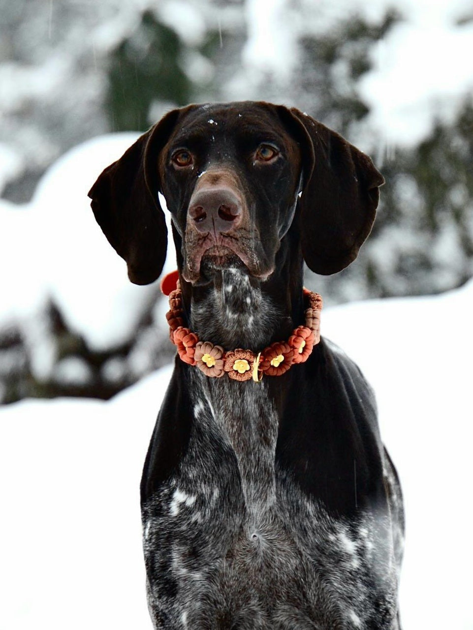 Blumen Halsband *Squirrel & Bronze & Kupfer Glitzer & Rost *