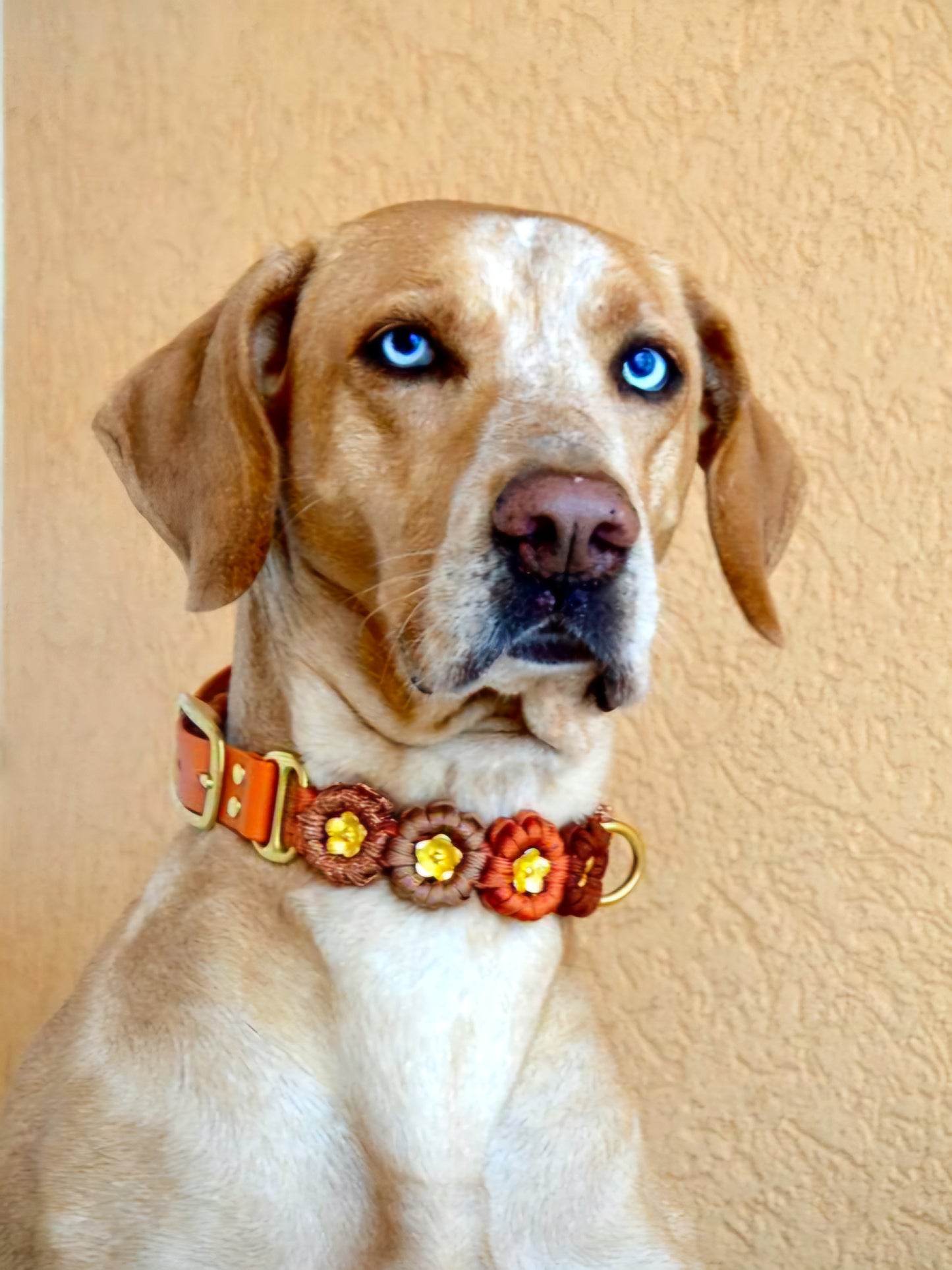 Blumen Halsband *Squirrel & Bronze & Kupfer Glitzer & Rost *