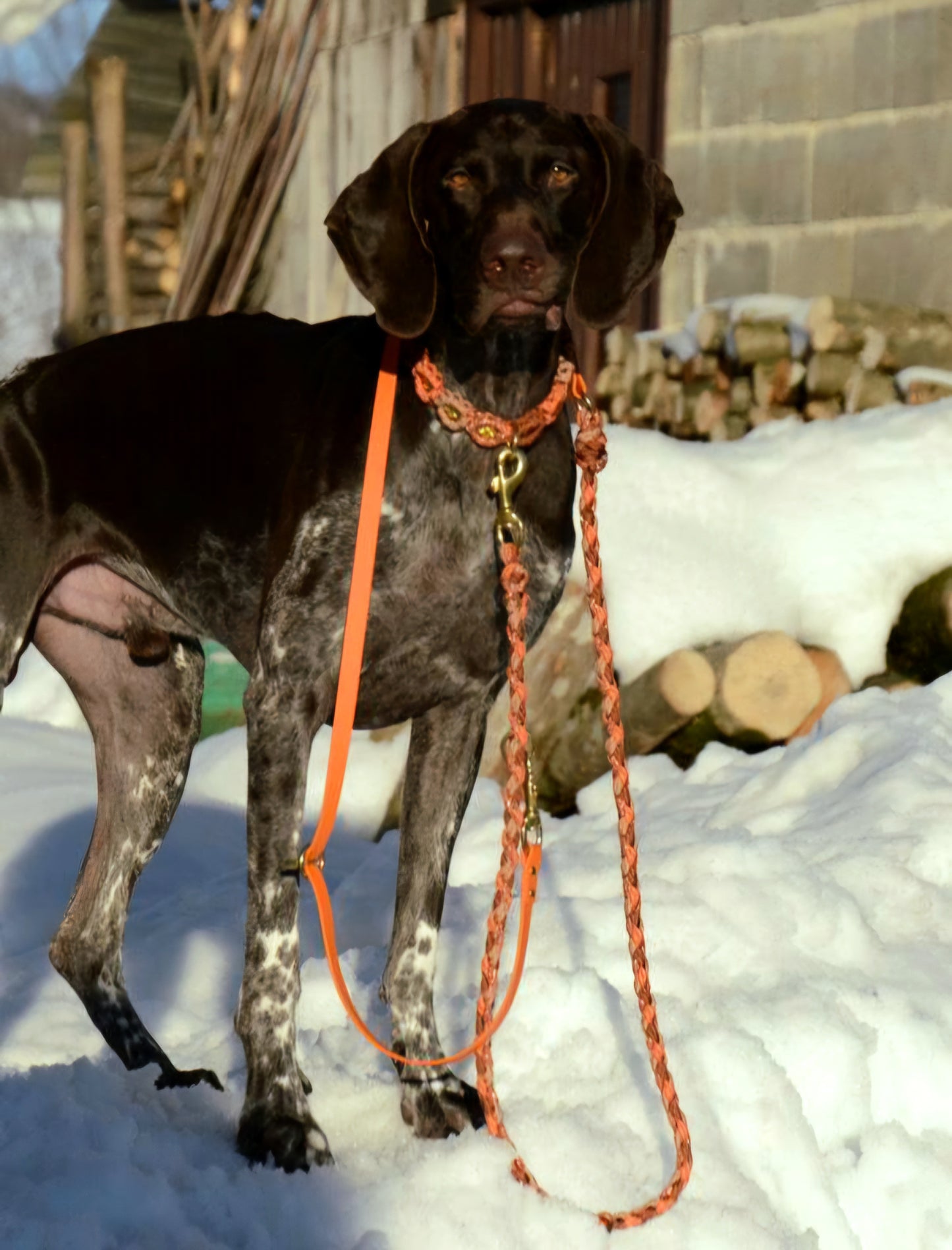 Paracord x Biothane Leine *Squirrel & Bronze & Kupfer Glitzer & Rost*