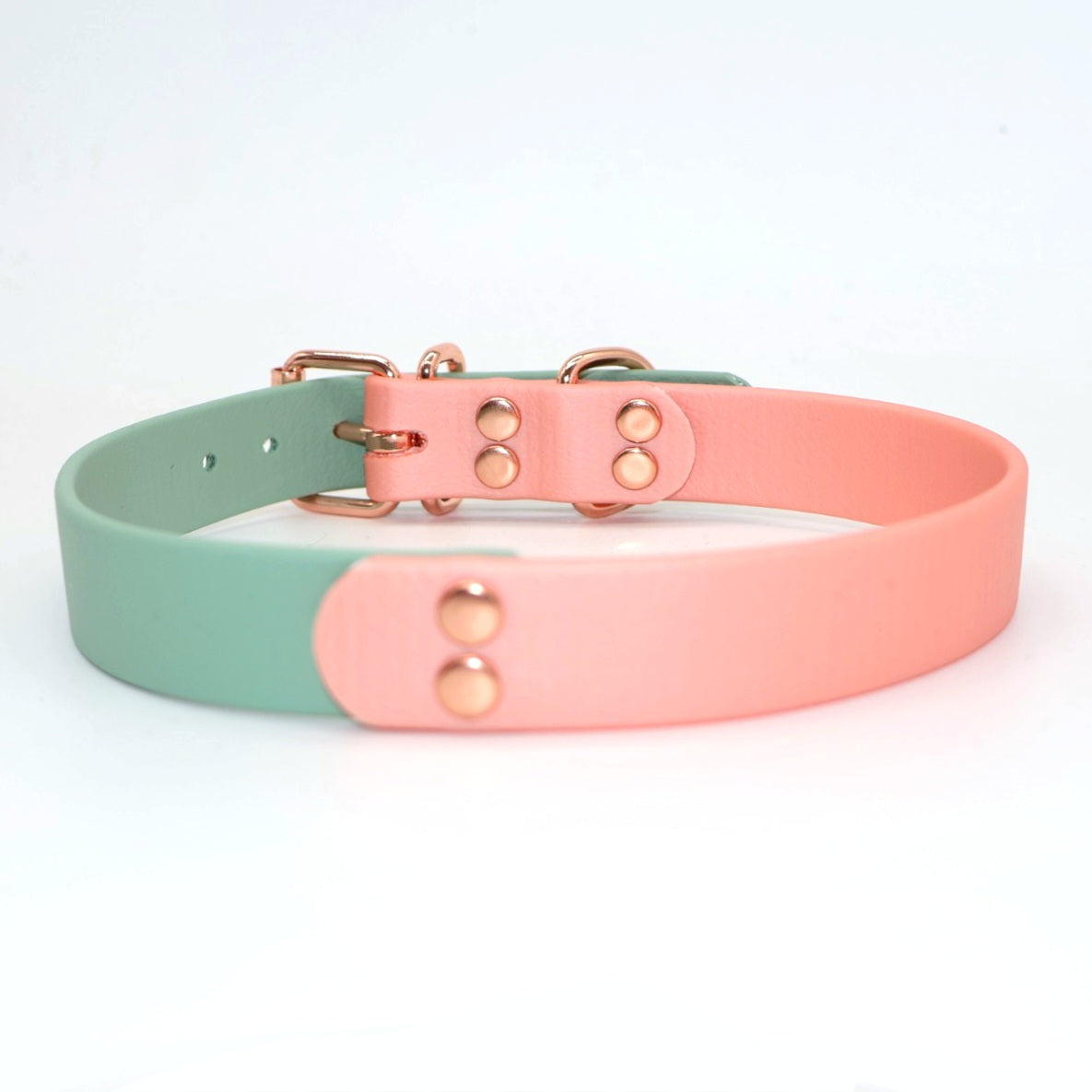 Biothane Halsband *Rosé & Mint*