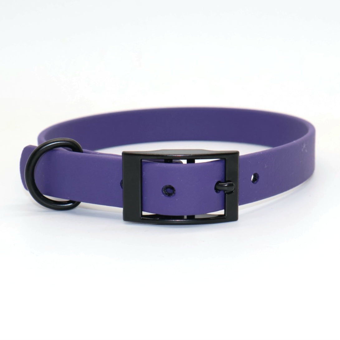 Collar Biothane *Violet*