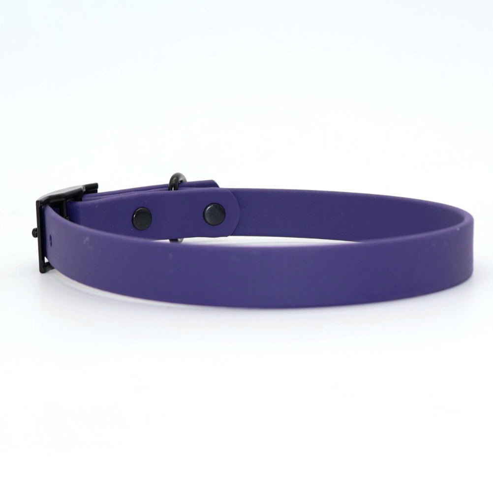 Collar Biothane *Violet*