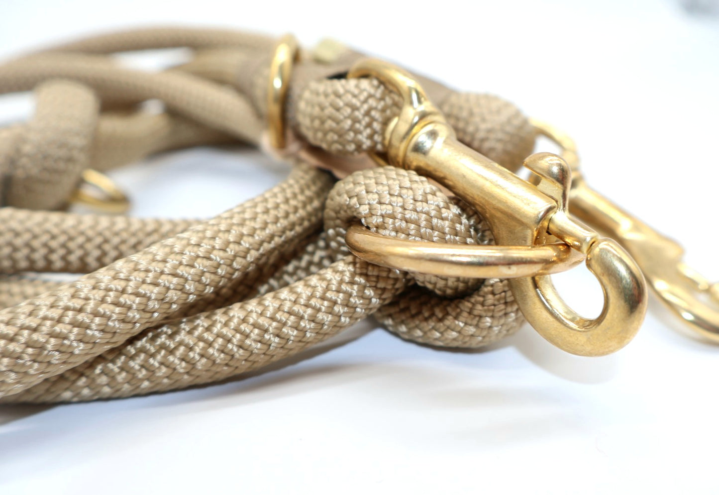 2,5m Tauleine 10mm für mittlere Hunde *Khaki*