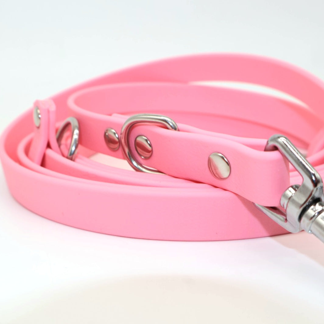 Leine Biothane *Rosa*