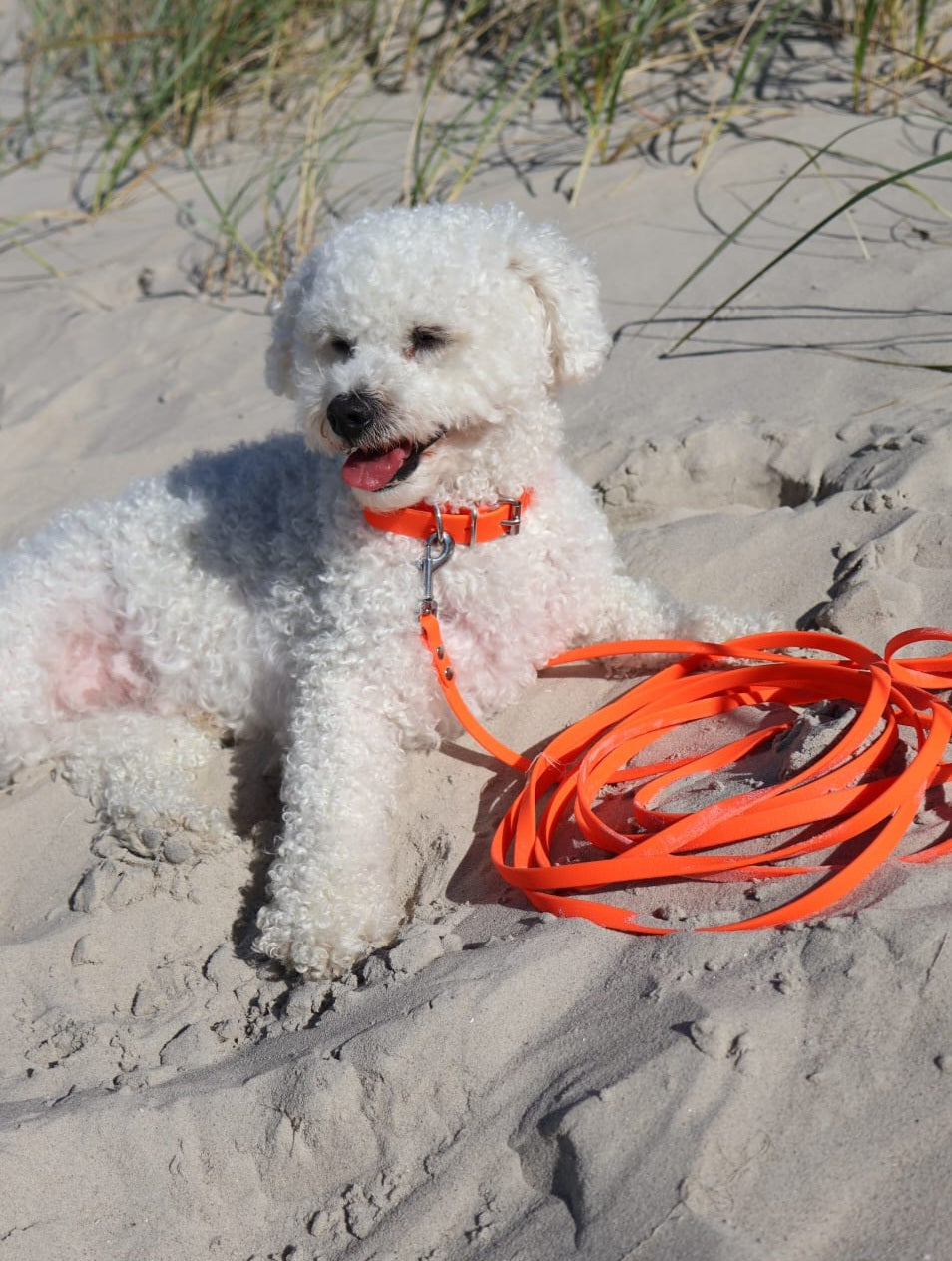 Halsband Biothane *Neon Orange*