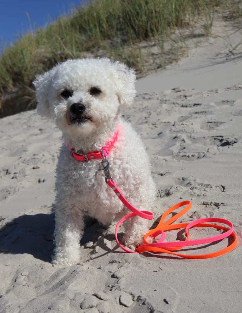 Mini Halsband *Neon Orange & Neon Pink*