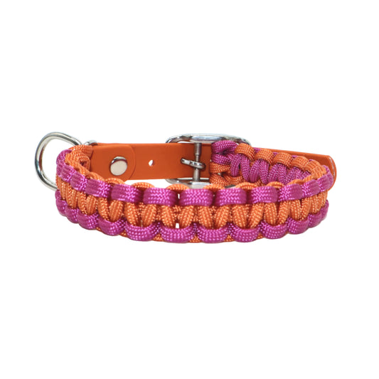 Mini Halsband *Orange & Passion Pink*
