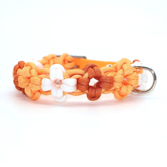 Halsband Biothane & Paracord *Pastell Orange* 26-31cm