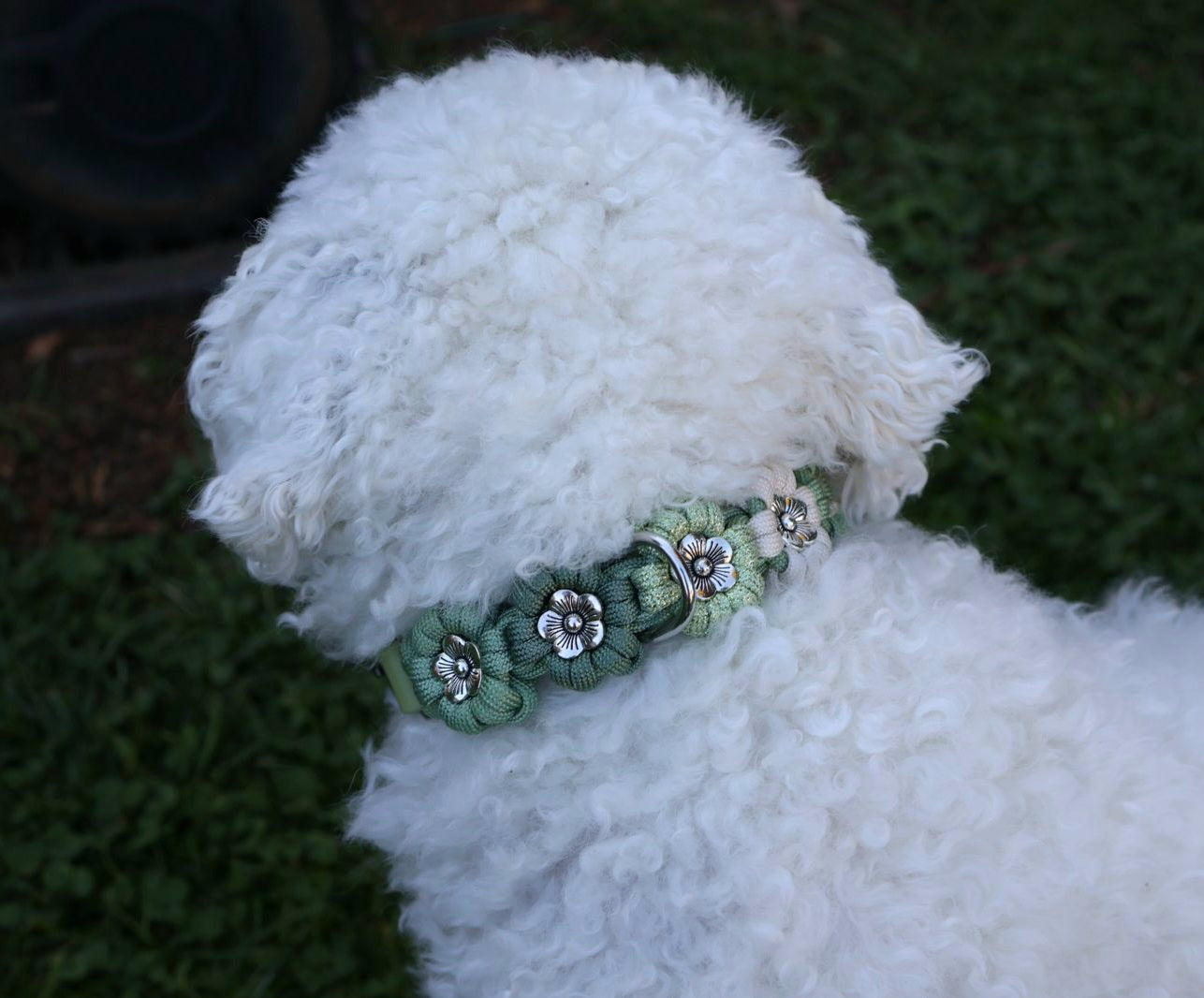 Blumen Halsband *Guacamole Glitzer & Foggy grün & Creme*
