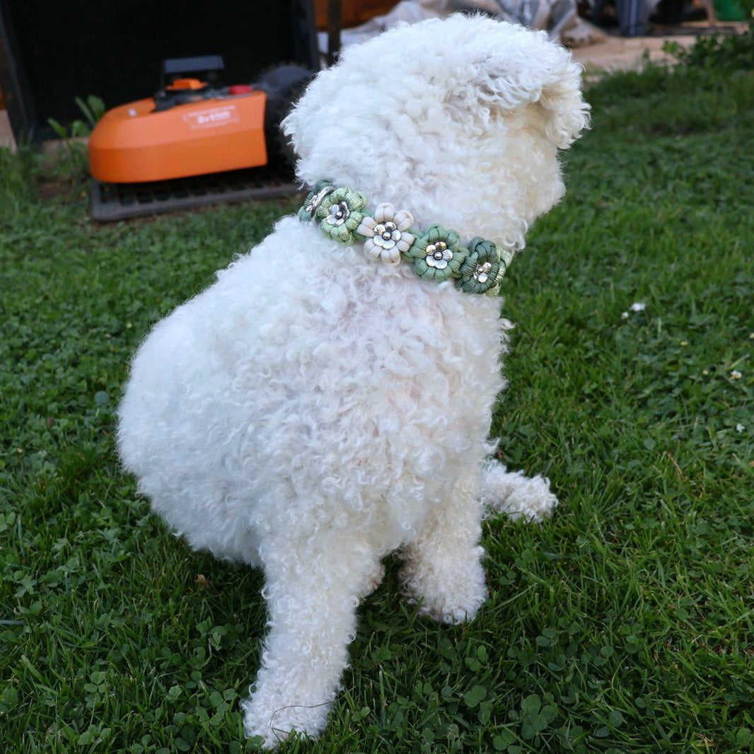 Blumen Halsband *Guacamole Glitzer & Foggy grün & Creme*